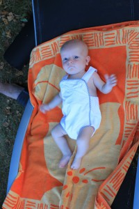 IMG 0402 (683x1024)