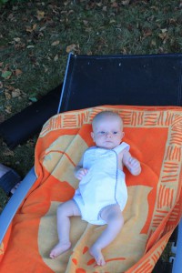IMG 0403 (683x1024)