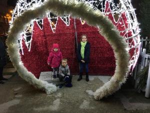 IMG 4762
