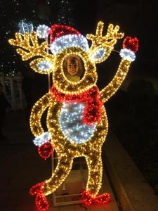 IMG 4771