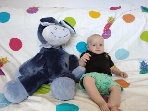 IMG 20200722 132926