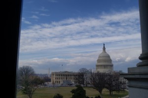 DSC00231 (1024x681)